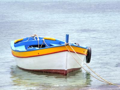 Premium Photographic Print, , small