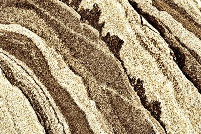 Premium Photographic Print, , small