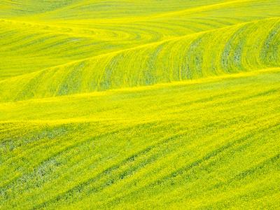 Photographic Print, , small