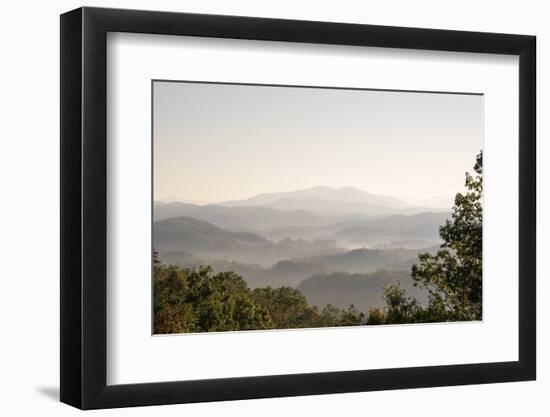 USA, Tennessee. View to Smoky Mountains from Foothills Parkway. Fog in valleys early morning-Trish Drury-Framed Photographic Print