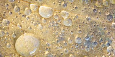 Photographic Print, , small