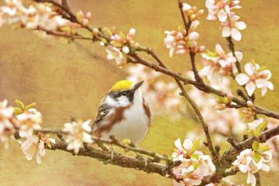 Premium Photographic Print, , small