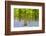 Bluebell carpet among beech trees, West Woods, Wiltshire, UK-Ross Hoddinott-Framed Photographic Print