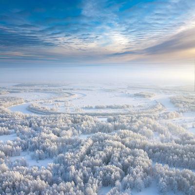 Premium Photographic Print, , small