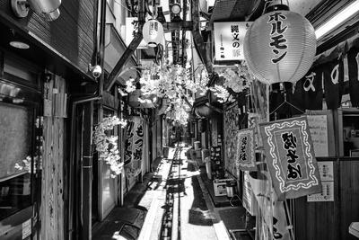 Premium Photographic Print, , small