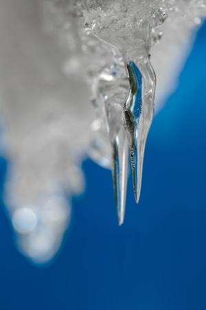 Premium Photographic Print, , small