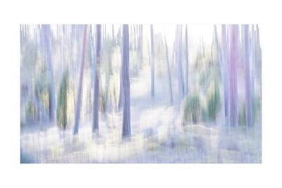 Premium Photographic Print, , small