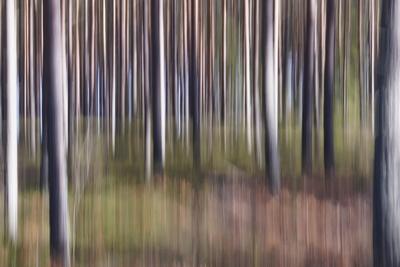 Premium Photographic Print, , small
