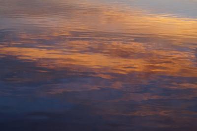 Premium Photographic Print, , small