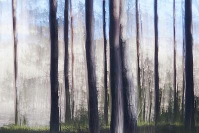 Photographic Print, , small