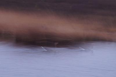 Photographic Print, , small