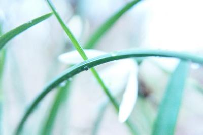 Photographic Print, , small