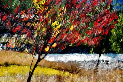 Premium Photographic Print, , small