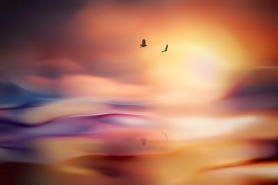 Premium Photographic Print, , small