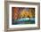 Electric Joy-Ursula Abresch-Framed Photographic Print