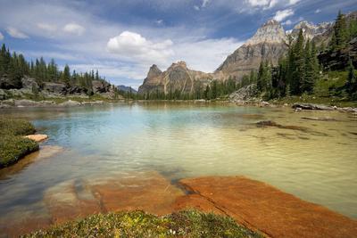 Premium Photographic Print, , small