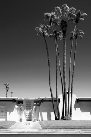Premium Photographic Print, , small