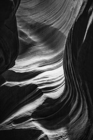 Premium Photographic Print, , small