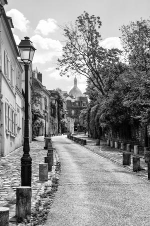 Premium Photographic Print, , small