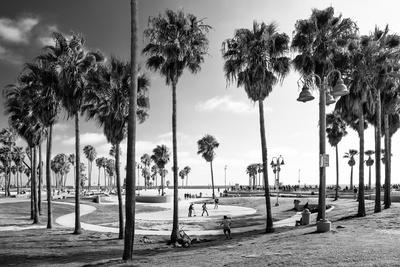 Premium Photographic Print, , small