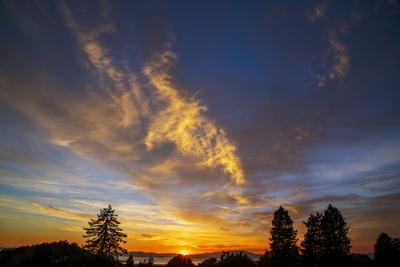 Premium Photographic Print, , small