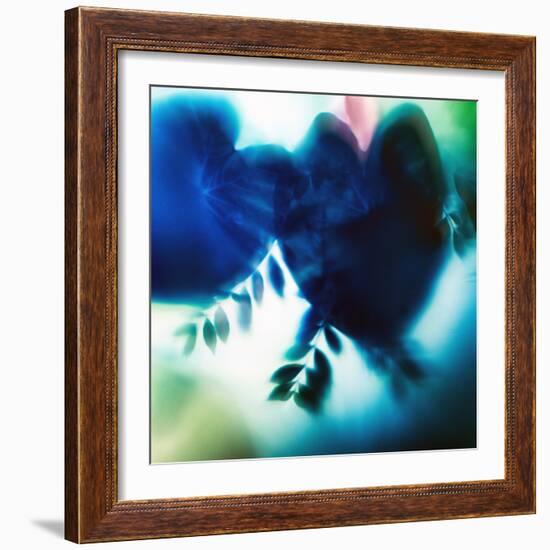 Evergreen No. 2-Sven Pfrommer-Framed Photographic Print