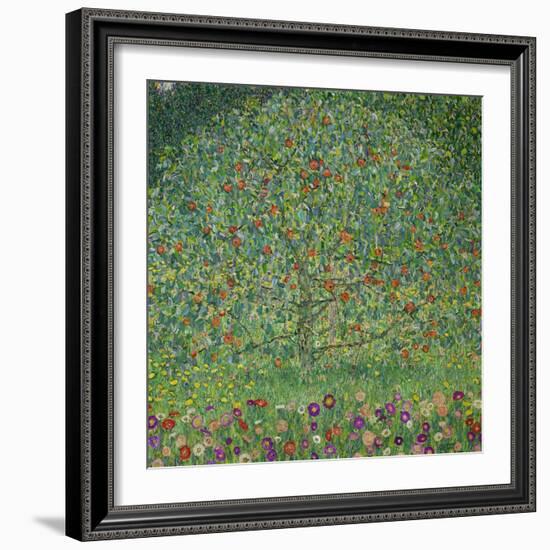 Apple Tree, 1912-Gustav Klimt-Framed Giclee Print