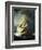 The Storm on the Sea of Galilee-Rembrandt van Rijn-Framed Giclee Print