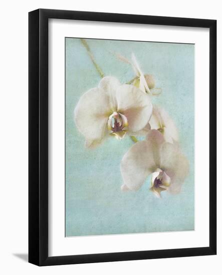 Aqua Floral I-Amy Melious-Framed Art Print