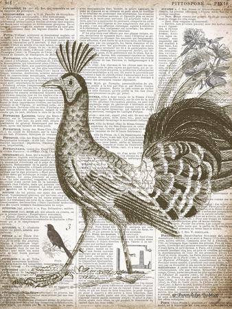 Premium Giclee Print, , small