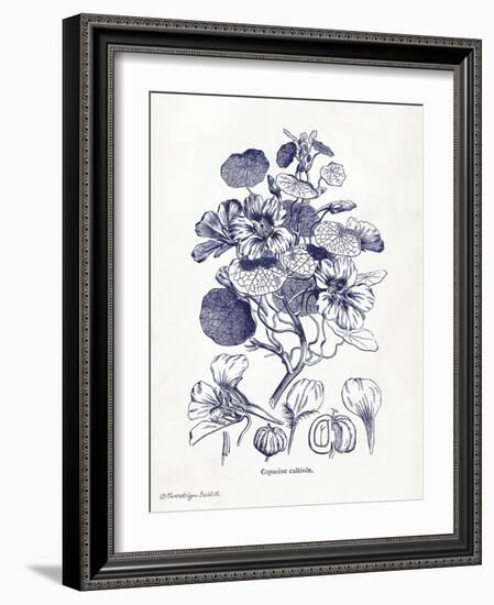 Indigo Botanical IV-Gwendolyn Babbitt-Framed Art Print