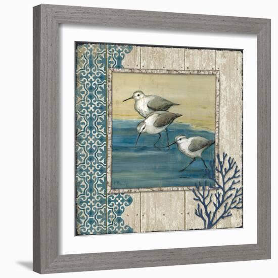 Sandpiper Shore II-Paul Brent-Framed Art Print