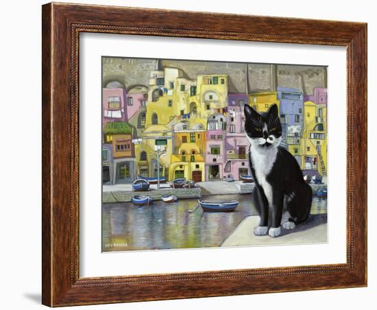 Cat in Corricella, Italy-Isy Ochoa-Framed Giclee Print