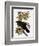 Audubon: Raven-John James Audubon-Framed Giclee Print