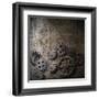 Metal Background With Rusty Gears And Cogs-Andrey_Kuzmin-Framed Art Print