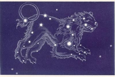 Photographic Print, , small