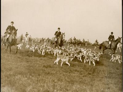 Photographic Print, , small