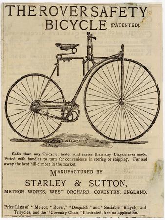 Photographic Print, , small