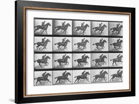Galloping Horse, Plate 628 from Animal Locomotion, 1887-Eadweard Muybridge-Framed Giclee Print
