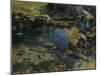 Alpine Pool, 1907-John Singer Sargent-Mounted Giclee Print