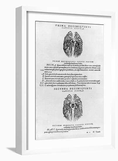 Vascular System of the Brain-Andreas Vesalius-Framed Giclee Print