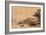 The Jetty-Rembrandt van Rijn-Framed Giclee Print