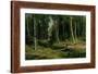 In the Birch Tree Forest, 1883-Ivan Ivanovitch Shishkin-Framed Giclee Print