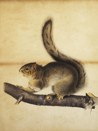 Premium Giclee Print, , small