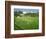 Cricket at Claygate, 1981-Liz Wright-Framed Giclee Print