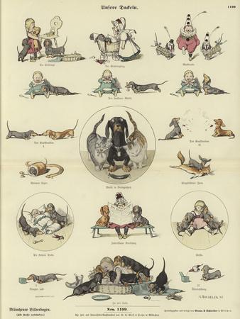 Premium Giclee Print, , small