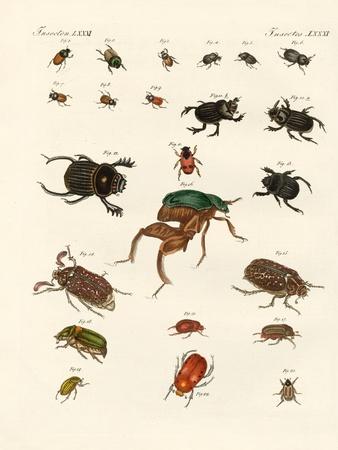 Premium Giclee Print, , small