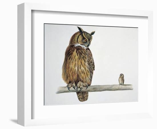 Close-Up of an Eurasian Eagle Owl (Bubo Bubo) Perching on a Branch with an Eurasian Pygmy Owl (Glau-null-Framed Giclee Print