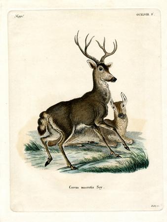 Premium Giclee Print, , small