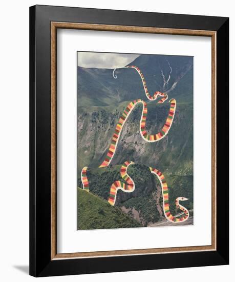 Slinky Snake-Danielle Kroll-Framed Giclee Print